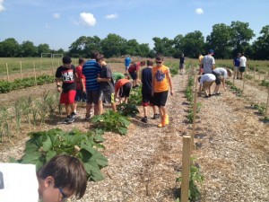 camp garden