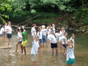 photo 1 (1)